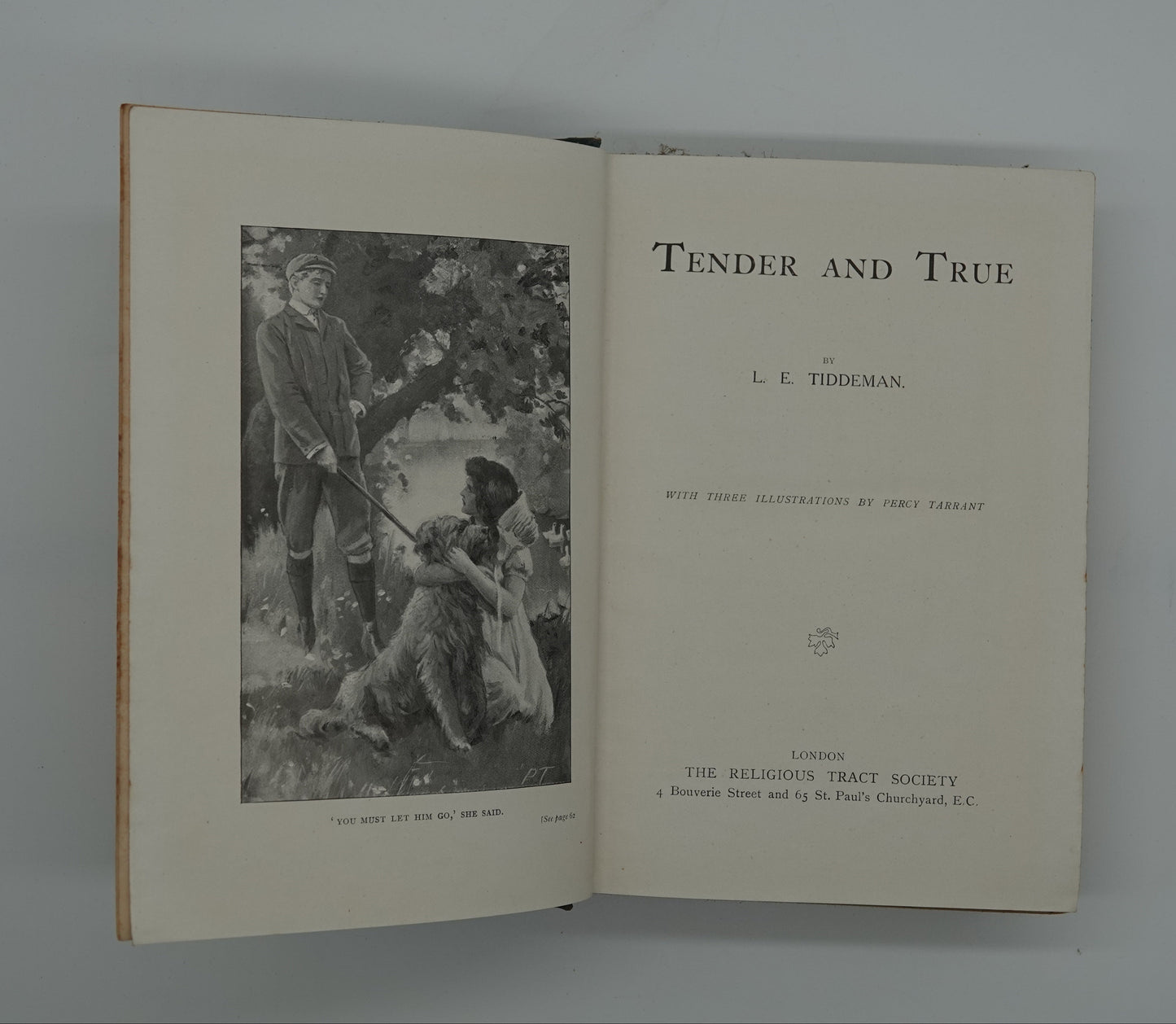 Historic and attractive Children's fiction for the home library...  Tender and True by  L E Tiddeman, circa 1905