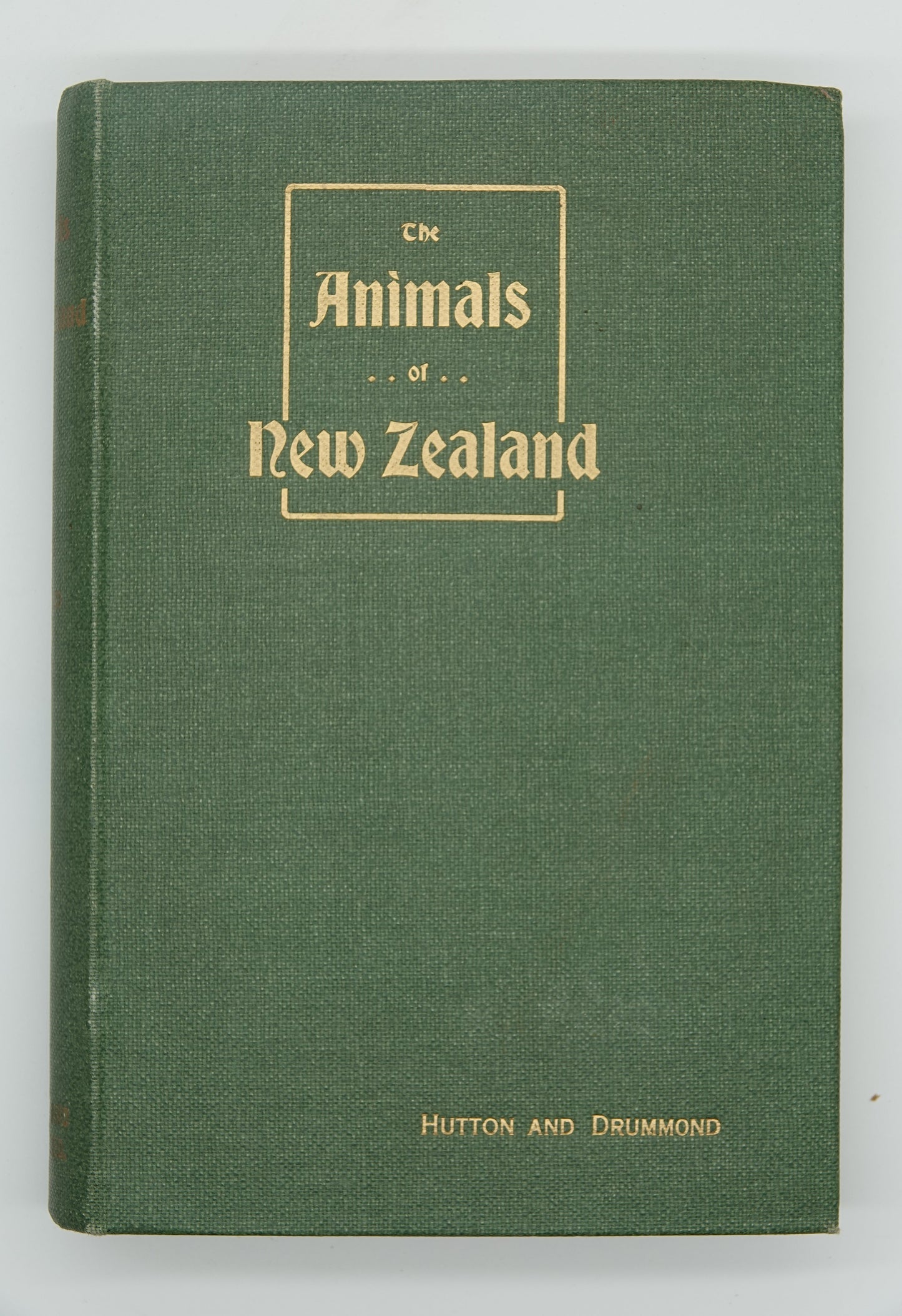The Animals of New Zealand by Hutton and Drummond