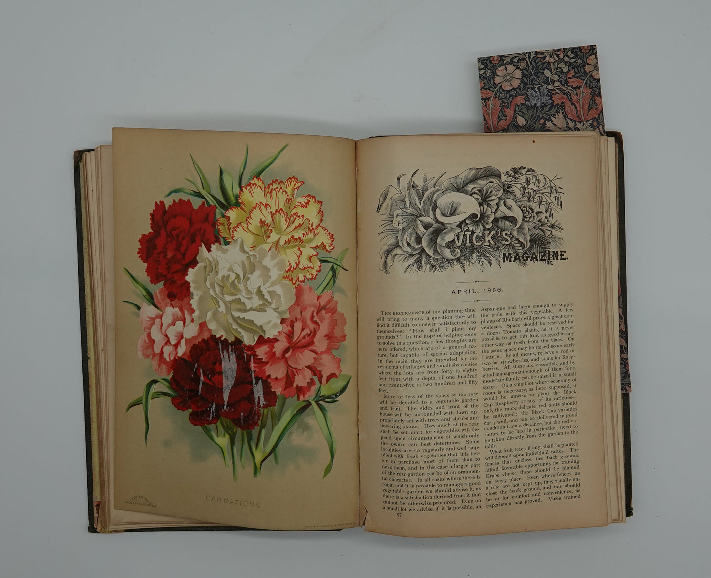 Vibrant hand painted illustrations in Vick's Illustrated Monthly Magazine from 1886