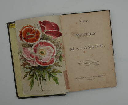 Vibrant hand painted illustrations in Vick's Illustrated Monthly Magazine from 1890