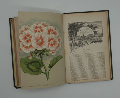 Vibrant hand painted illustrations in Vick's Illustrated Monthly Magazine from 1890
