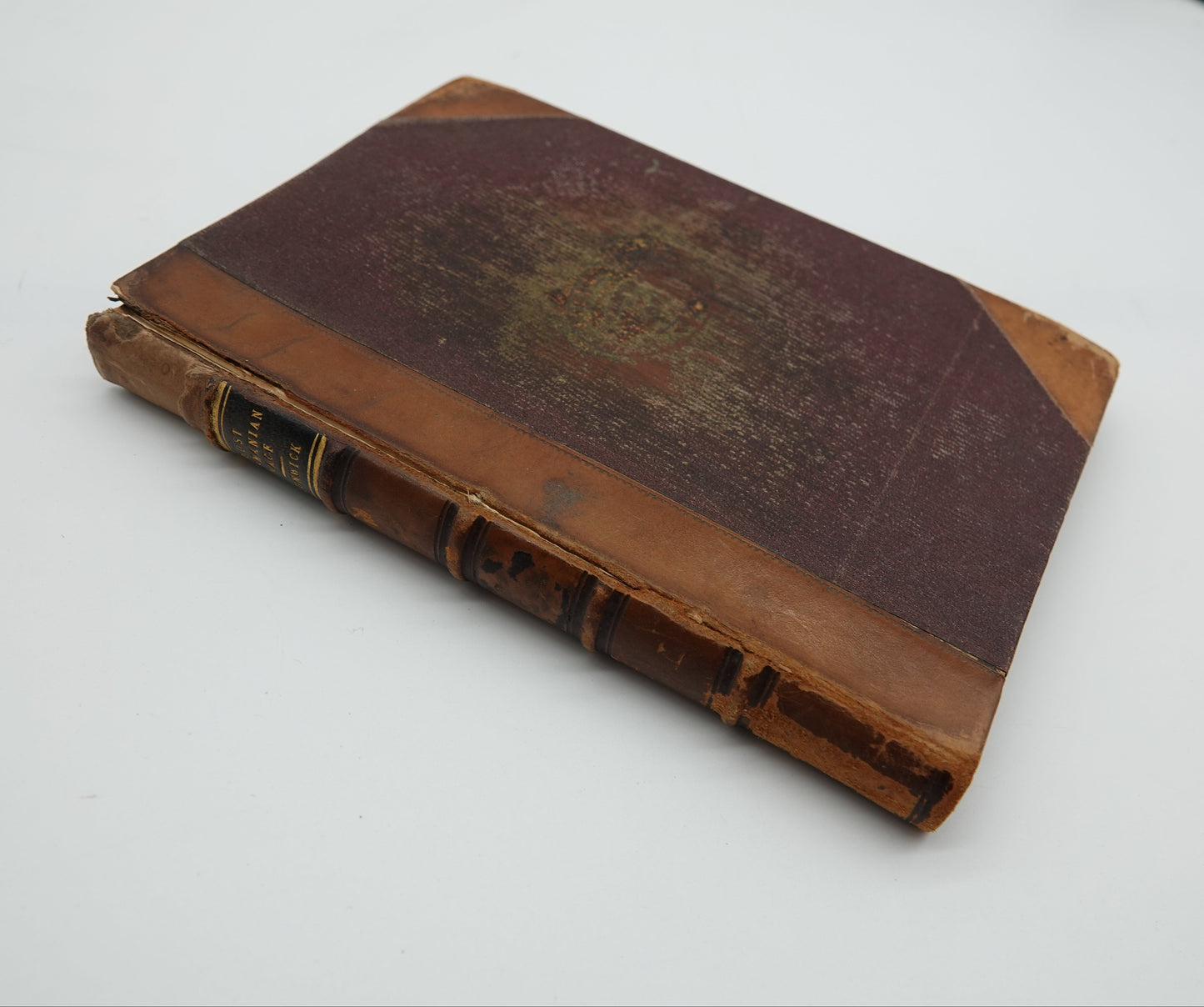 First edition Lost Tasmanian Race by James Bonwick 1884