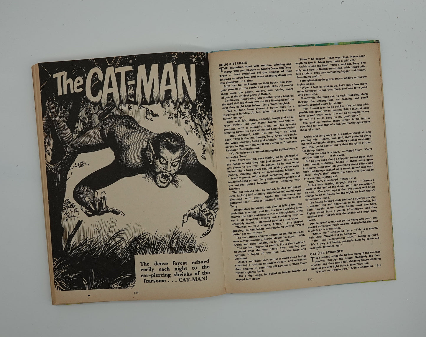 Valiant Annual 1975