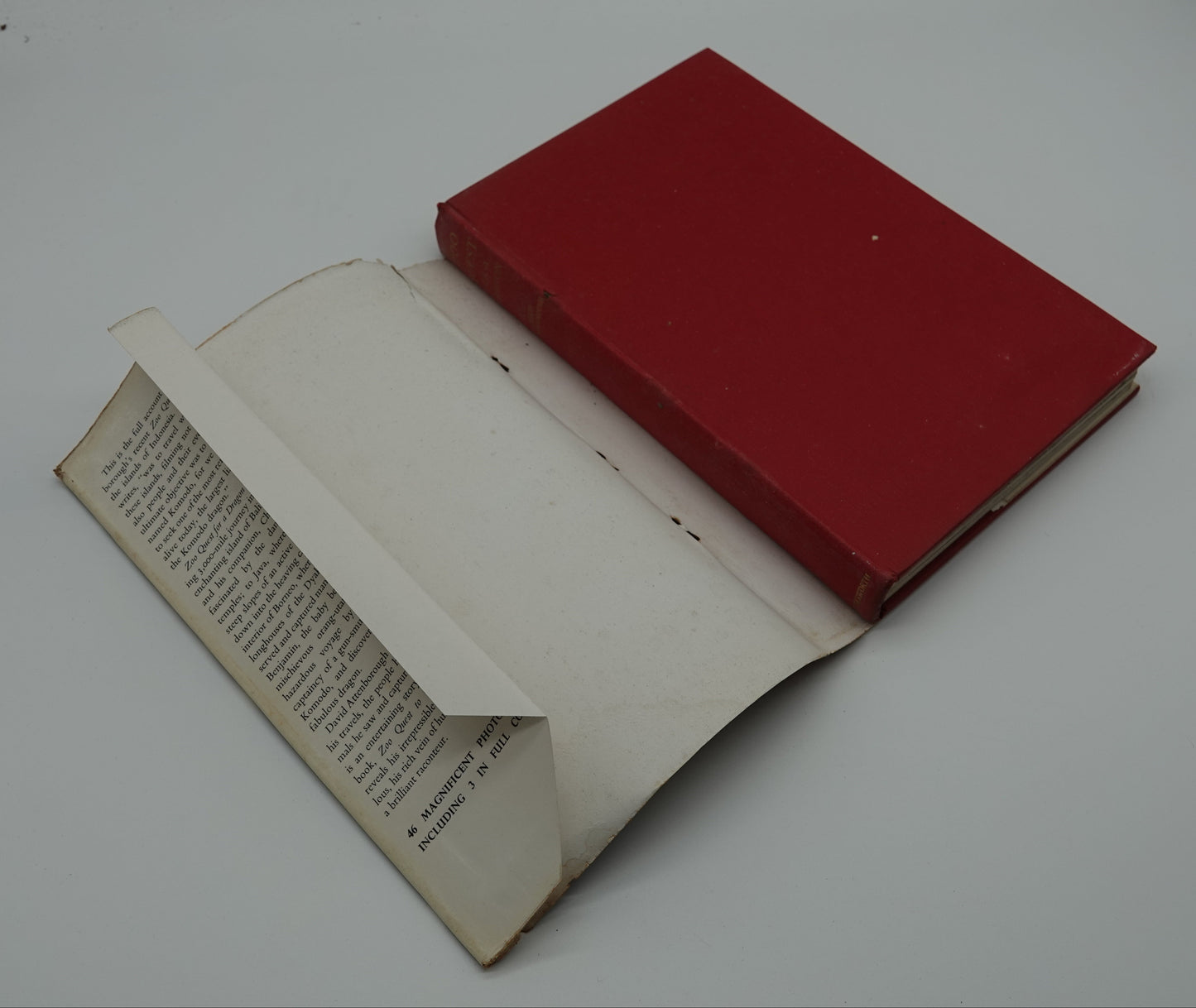 A first edition David Attenborough classic..."Zoo Quest for a DRAGON, 1957