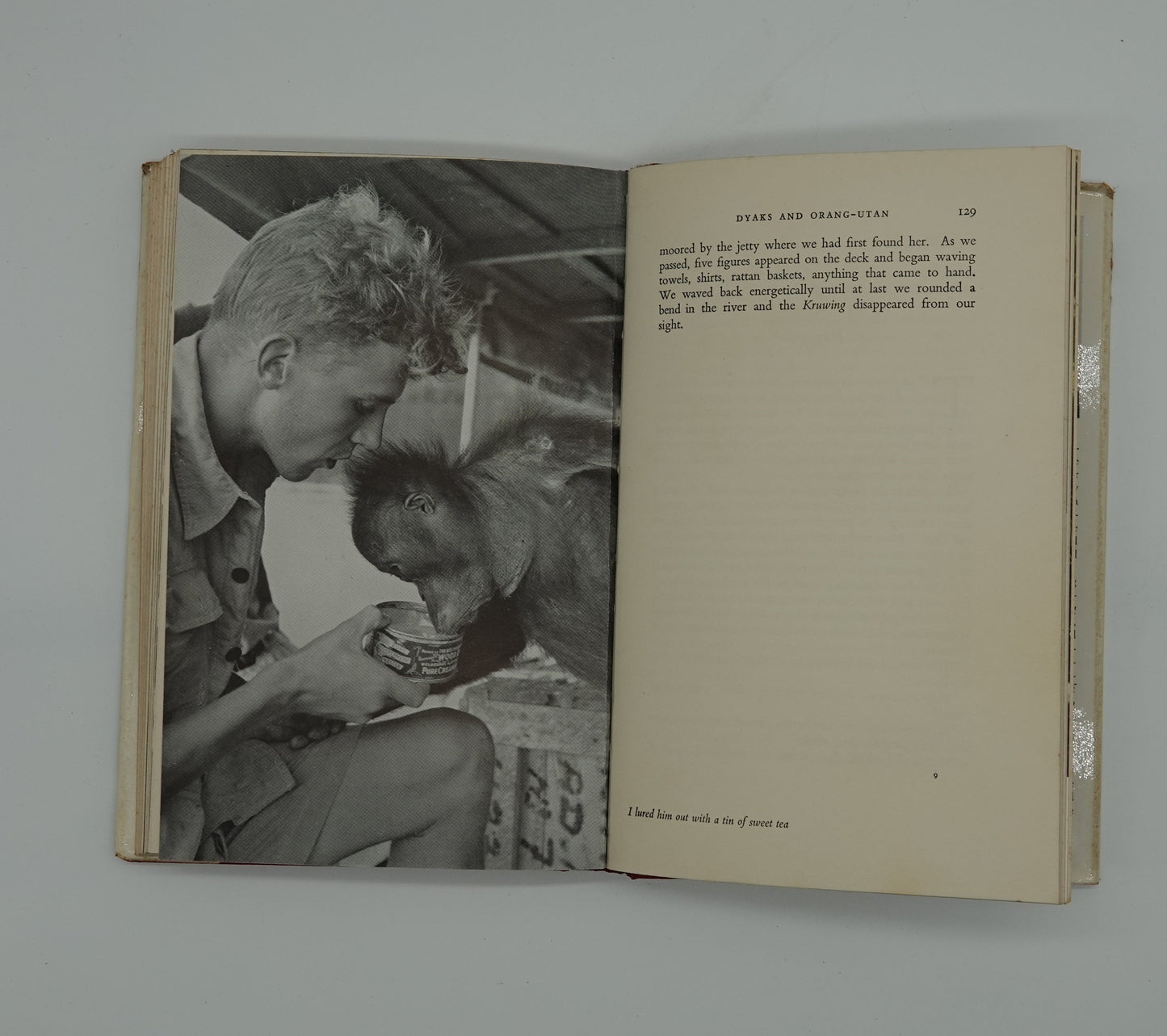 A first edition David Attenborough classic..."Zoo Quest for a DRAGON, 1957