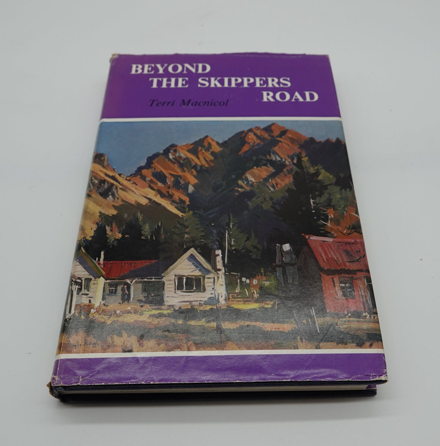 Beyond the Skippers Road by Terri Macnicol