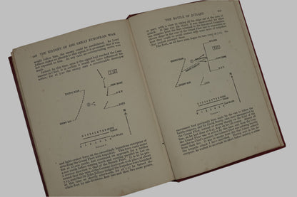 The History of the Great European War Vol VIII