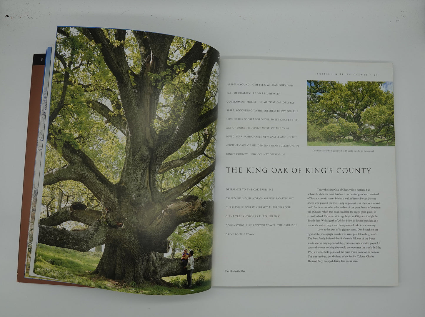 Meetings with Remarkable Trees, by Thomas Pakenham