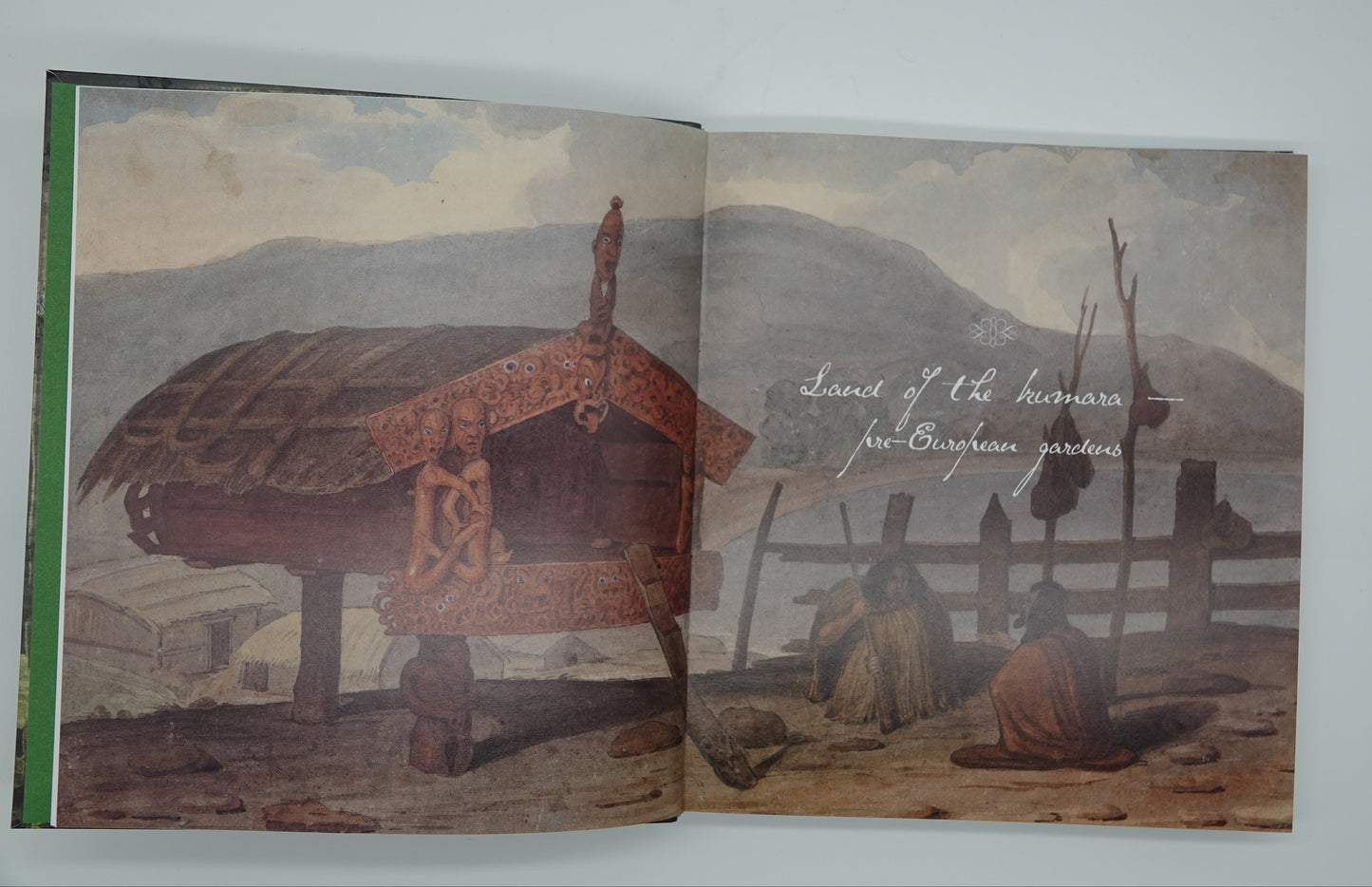 A History of Gardening in New Zealand by Bee Dawson