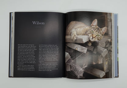 The New Zealand Cat by Rachel Hale McKenna
