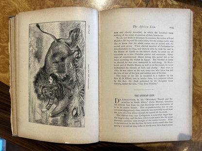 ALL TRUE Records of Peril and Adventure by Dr. MacAulay, 1891