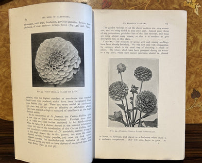 A scarce classic... The Book of Gardening - A handbook of horticulture, first edition 1900