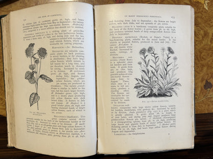 A scarce classic... The Book of Gardening - A handbook of horticulture, first edition 1900