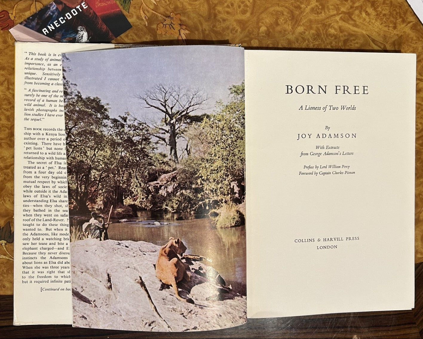 Born Free - the iconic Joy Adamson story of a Lioness of Two Worlds