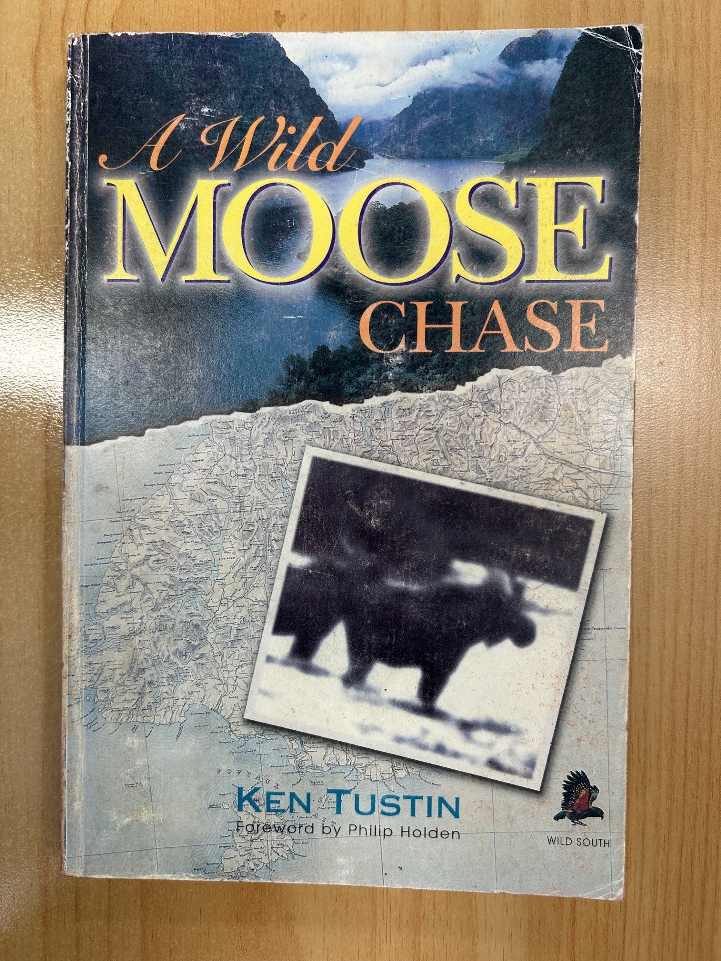 A Wild MOOSE CHASE