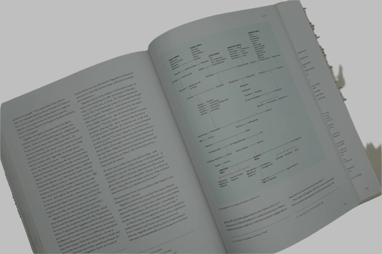 He Ringatoi O Ngā Tūpuna - Isaac Coates and his Maori portraits