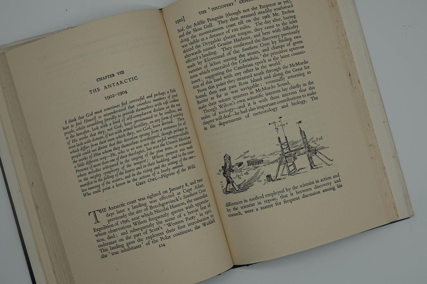 Edward Wilson Nature Lover