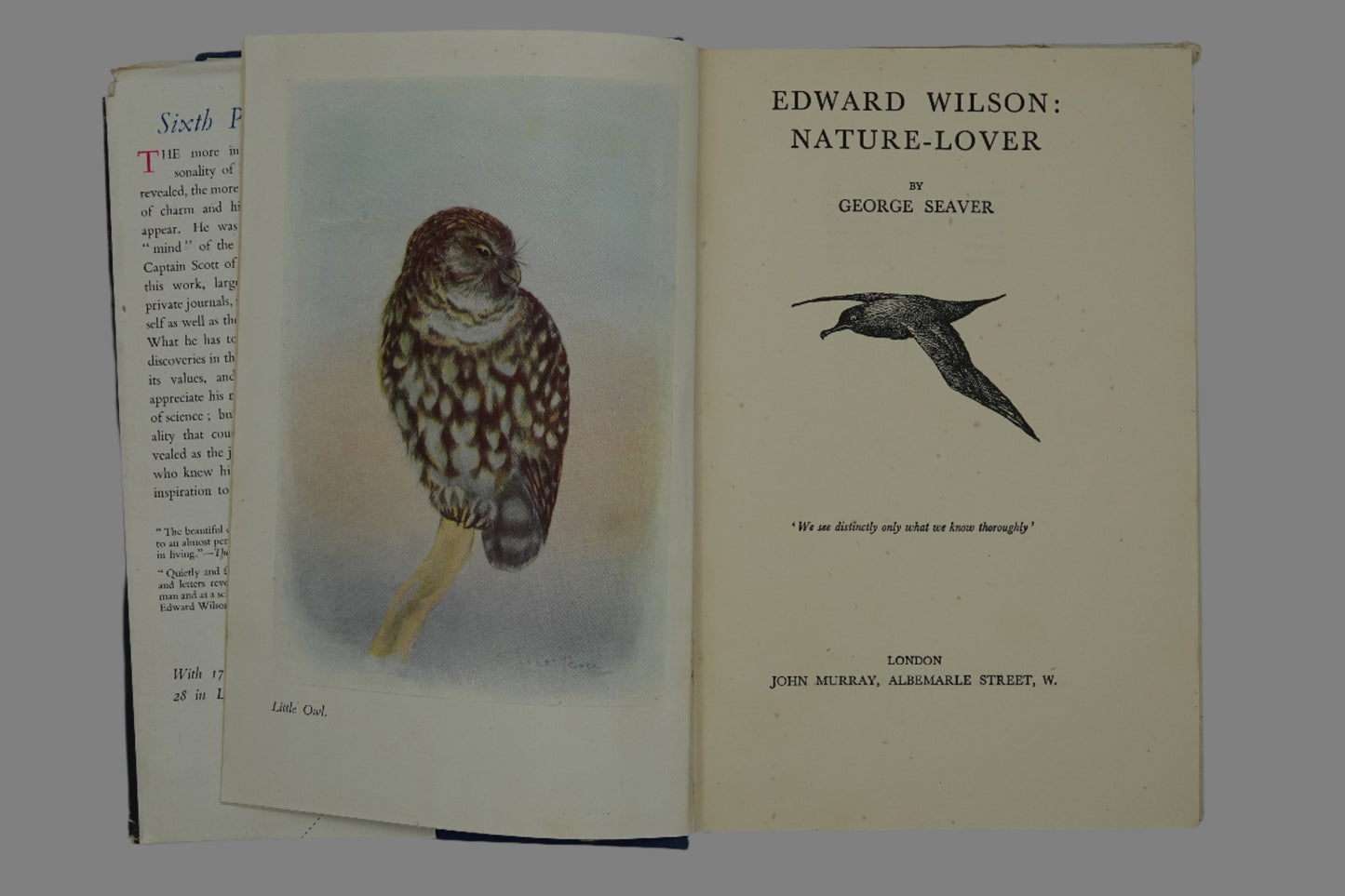Edward Wilson Nature Lover