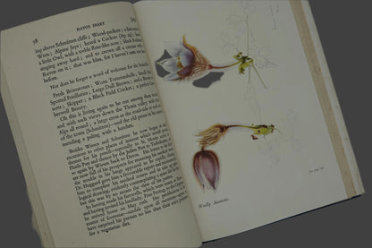 Edward Wilson Nature Lover