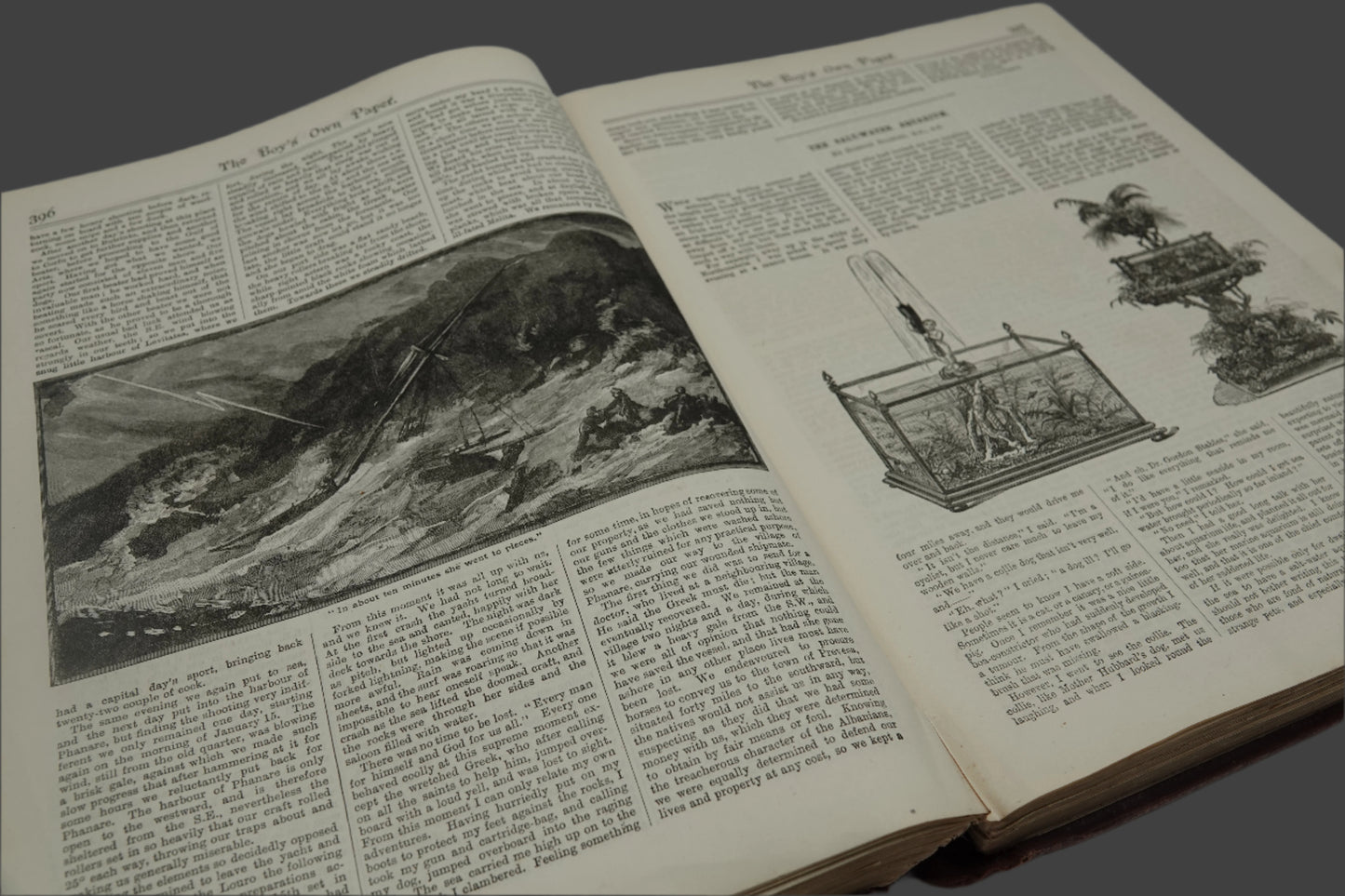 The Boys Own Annual , Volume 12 1890