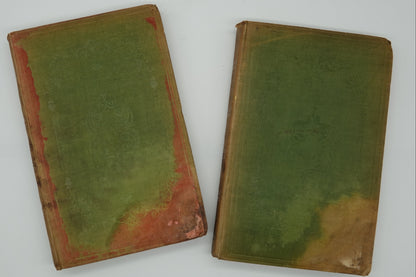 Travels In New Zealand (2 Volumes)