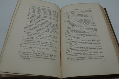 Travels In New Zealand (2 Volumes)