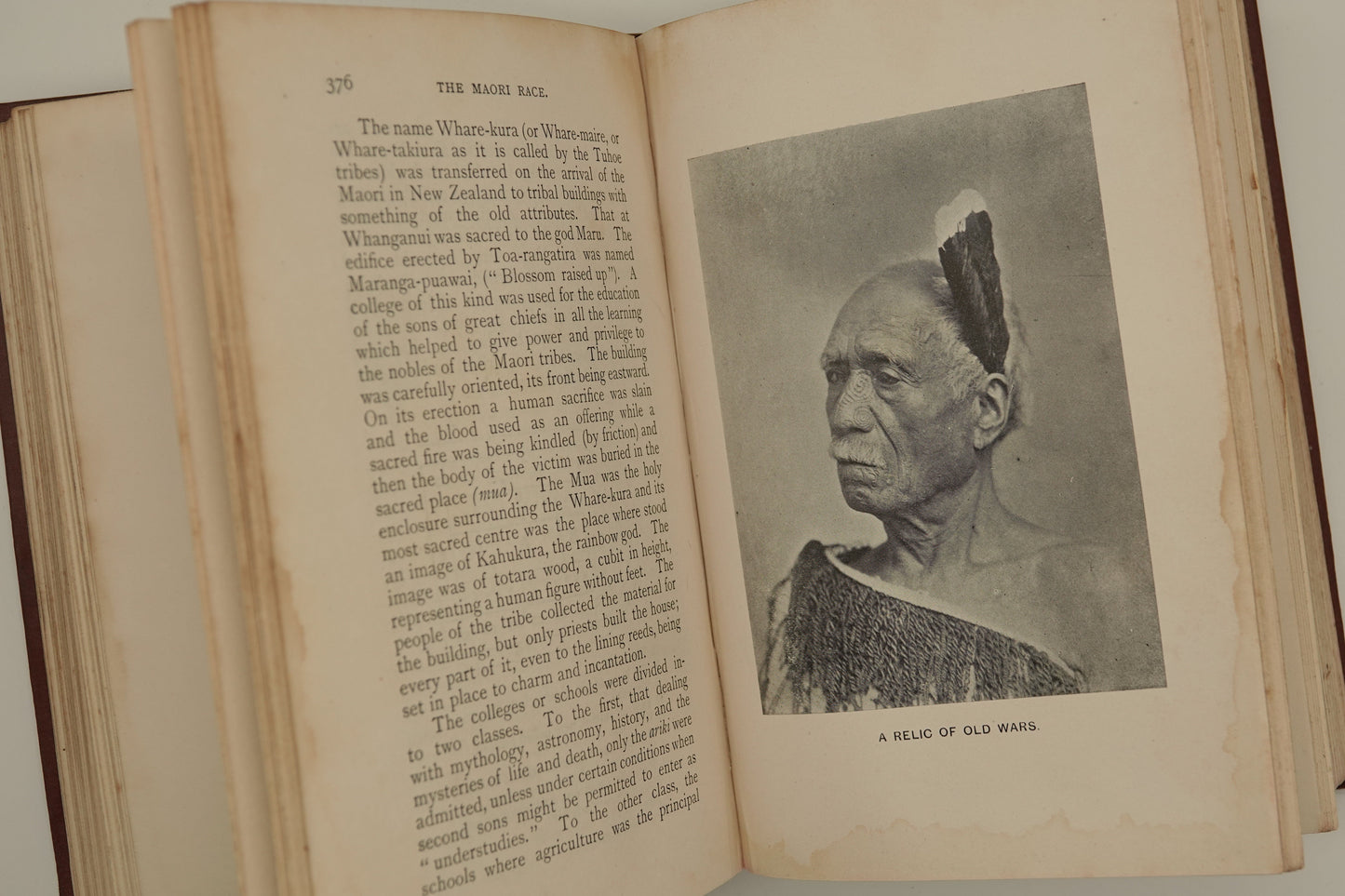 The Maori Race