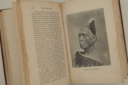 The Maori Race