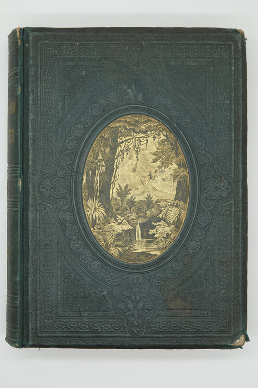 New Zealand Its Physical Geography, Geology And Natural History. With special reference to the results of Government expeditions in the provinces of Auckland and Nelson