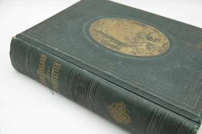 New Zealand Its Physical Geography, Geology And Natural History. With special reference to the results of Government expeditions in the provinces of Auckland and Nelson