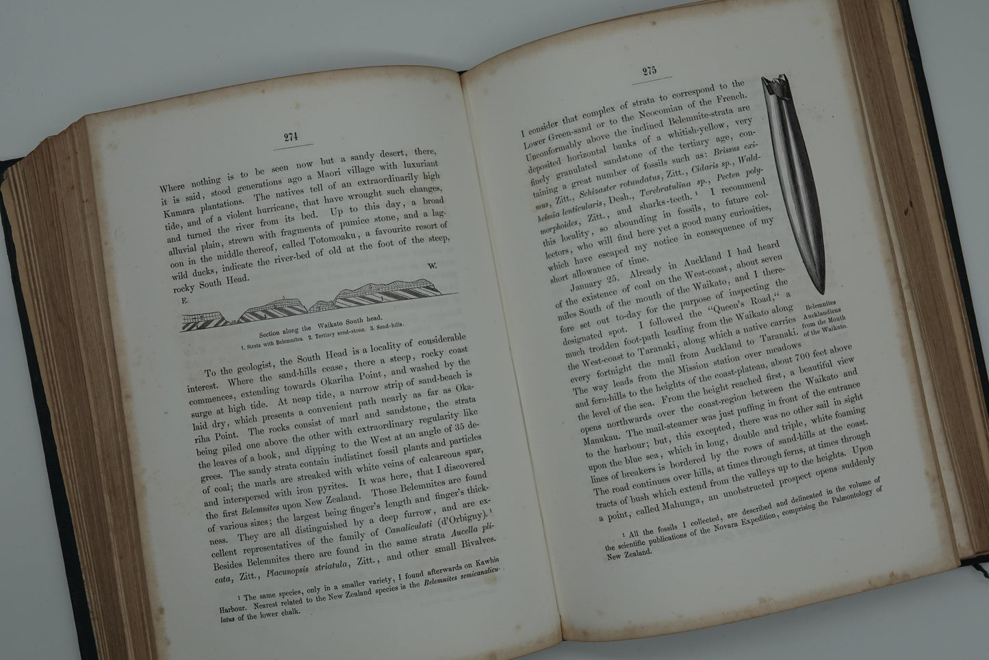 New Zealand Its Physical Geography, Geology And Natural History. With special reference to the results of Government expeditions in the provinces of Auckland and Nelson