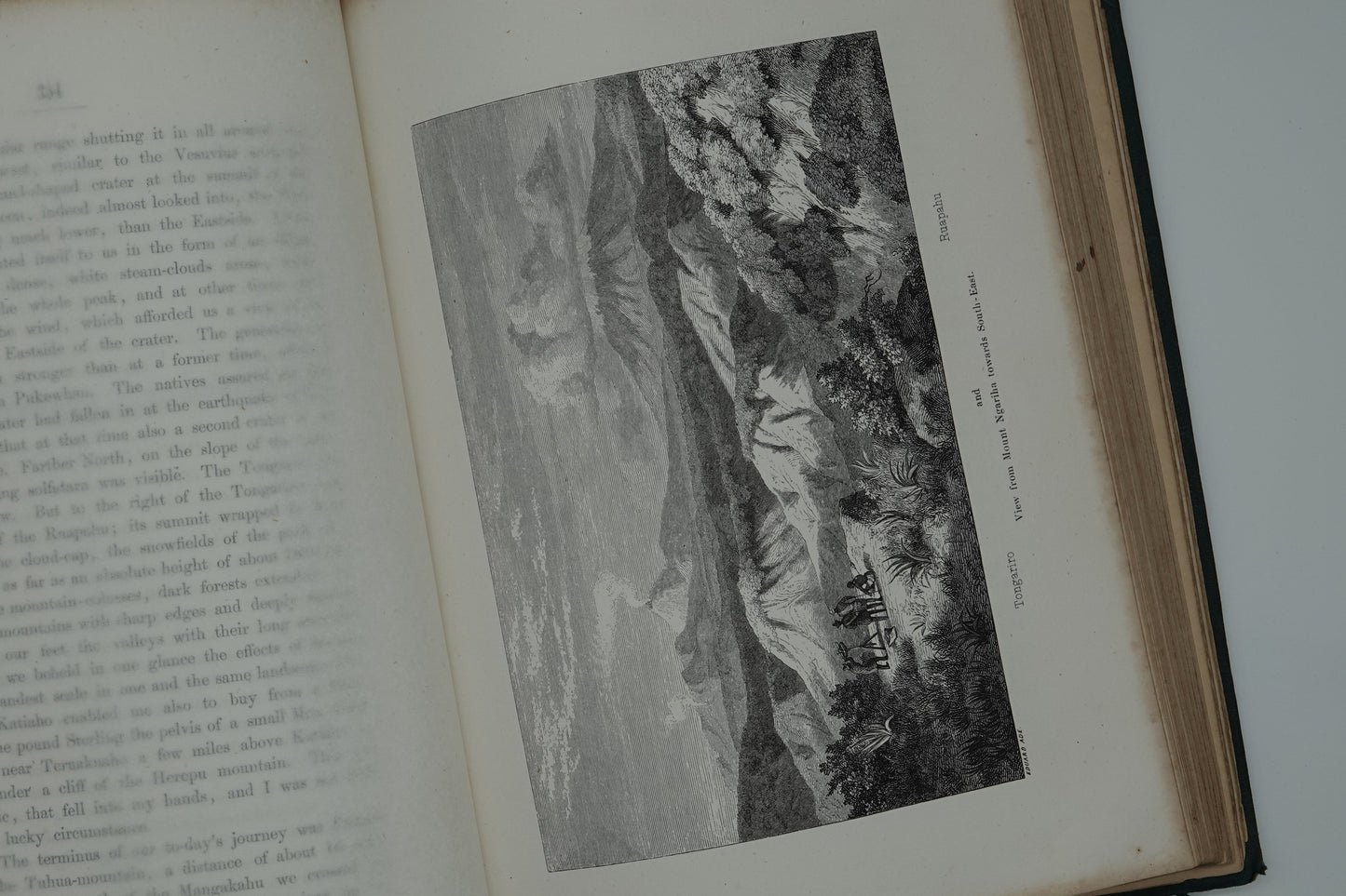 New Zealand Its Physical Geography, Geology And Natural History. With special reference to the results of Government expeditions in the provinces of Auckland and Nelson