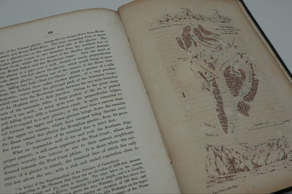 New Zealand Its Physical Geography, Geology And Natural History. With special reference to the results of Government expeditions in the provinces of Auckland and Nelson