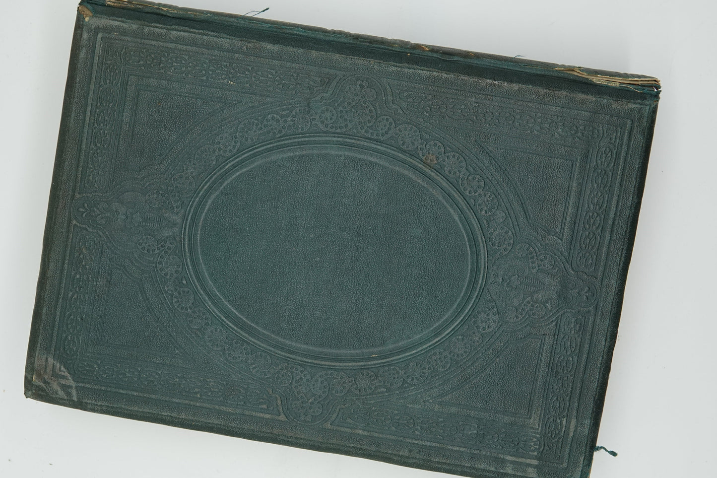 New Zealand Its Physical Geography, Geology And Natural History. With special reference to the results of Government expeditions in the provinces of Auckland and Nelson