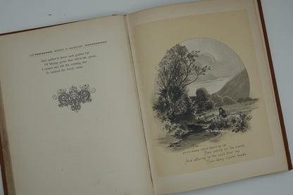 Musings in Maori-land