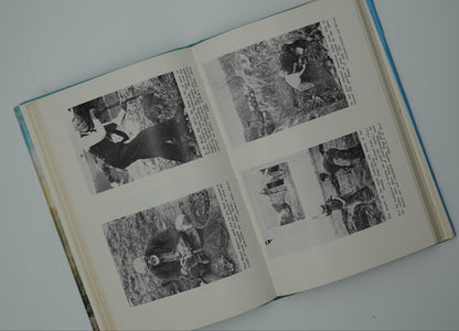 The Gumdiggers - The Story of Kauri Gum, signed first edition
