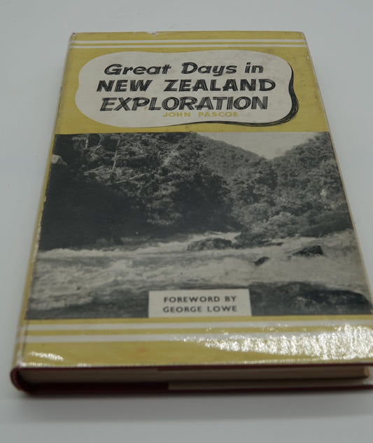 Great Days in New Zealand Exploration  - The bush and the rain