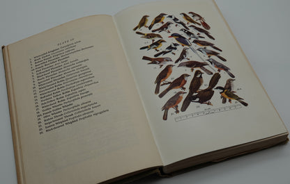 What Bird is That - A guide to the birds of Australia