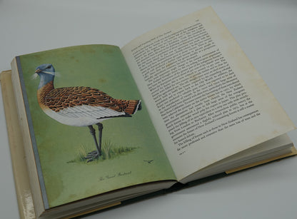 Vanishing BIRDS - Their Natural History and Conservation