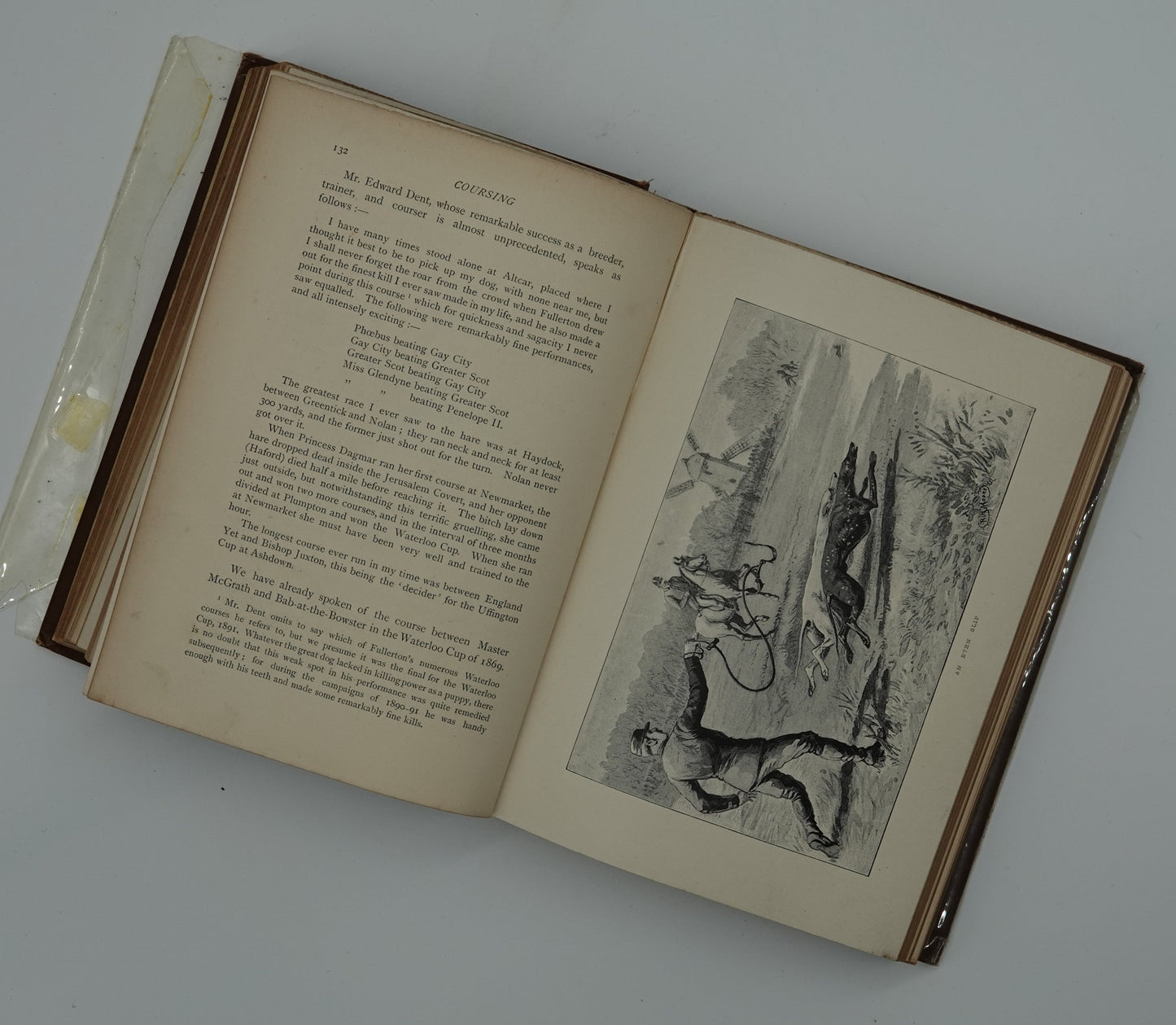 The Badminton Library of Sports and Past Times - Coursing and Falconry