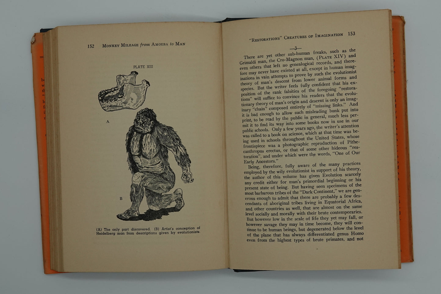 Now this is an odd title for an equally odd story.....! Monkey Mileage From Amoeba to Man