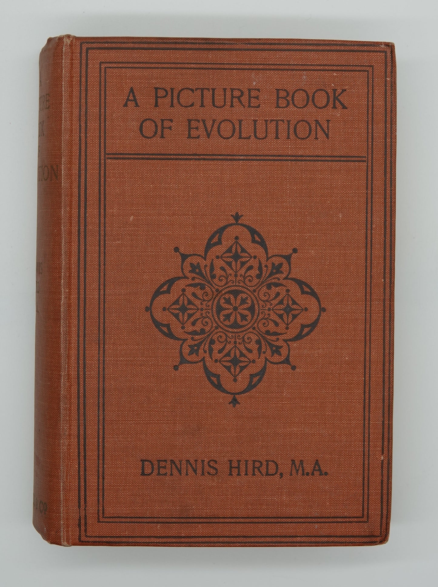 A Picture Book of Evolution, 1920