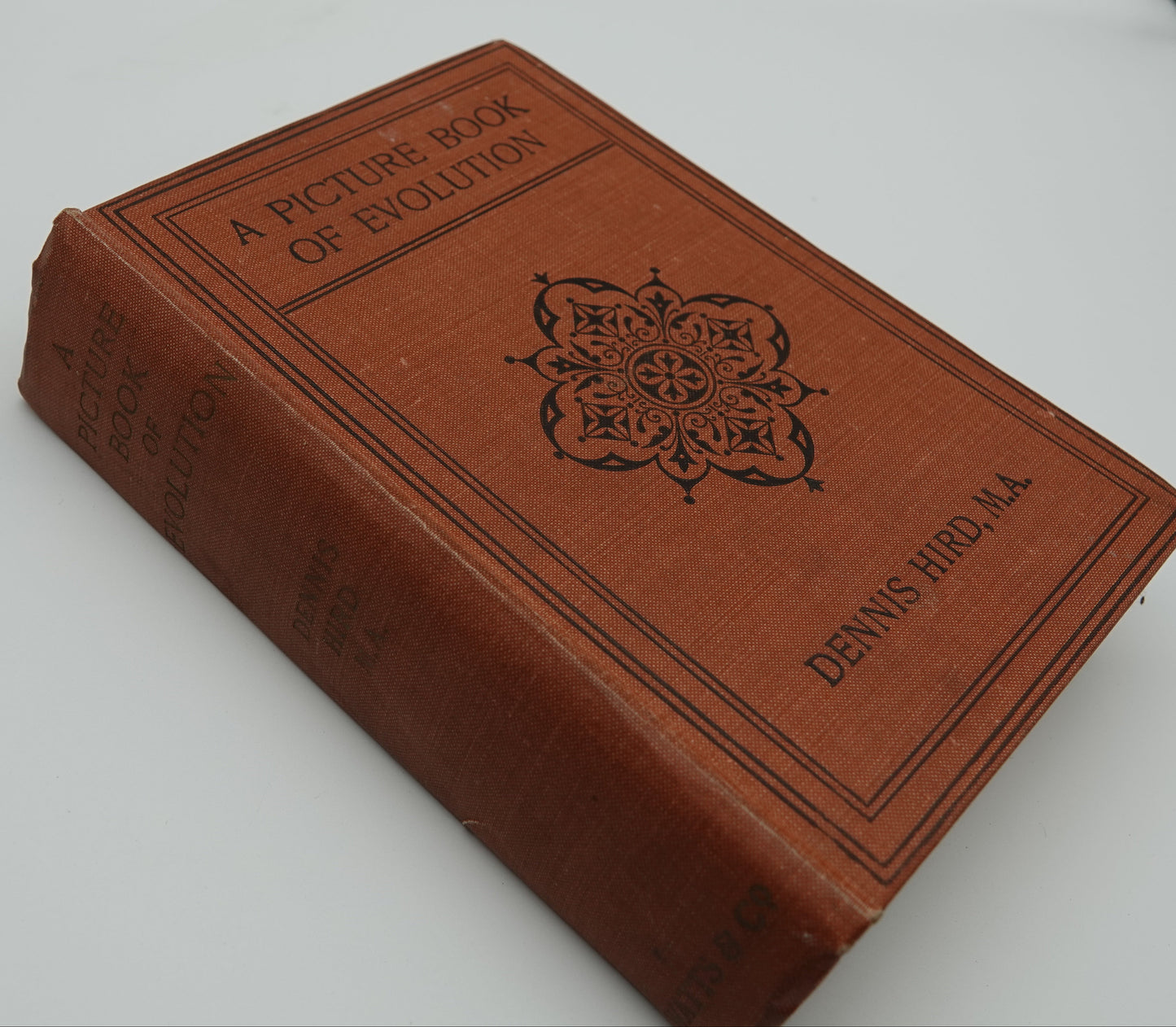 A Picture Book of Evolution, 1920