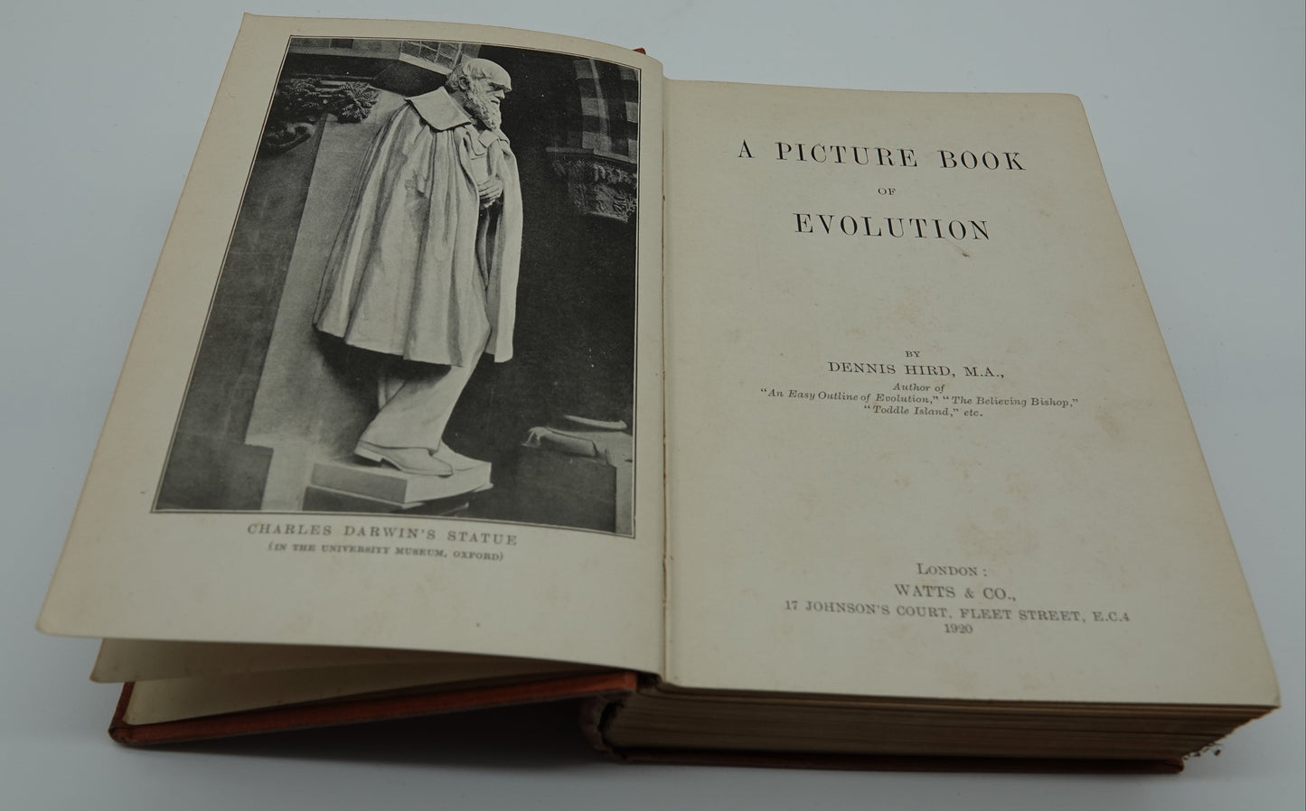 A Picture Book of Evolution, 1920