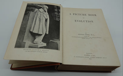 A Picture Book of Evolution, 1920