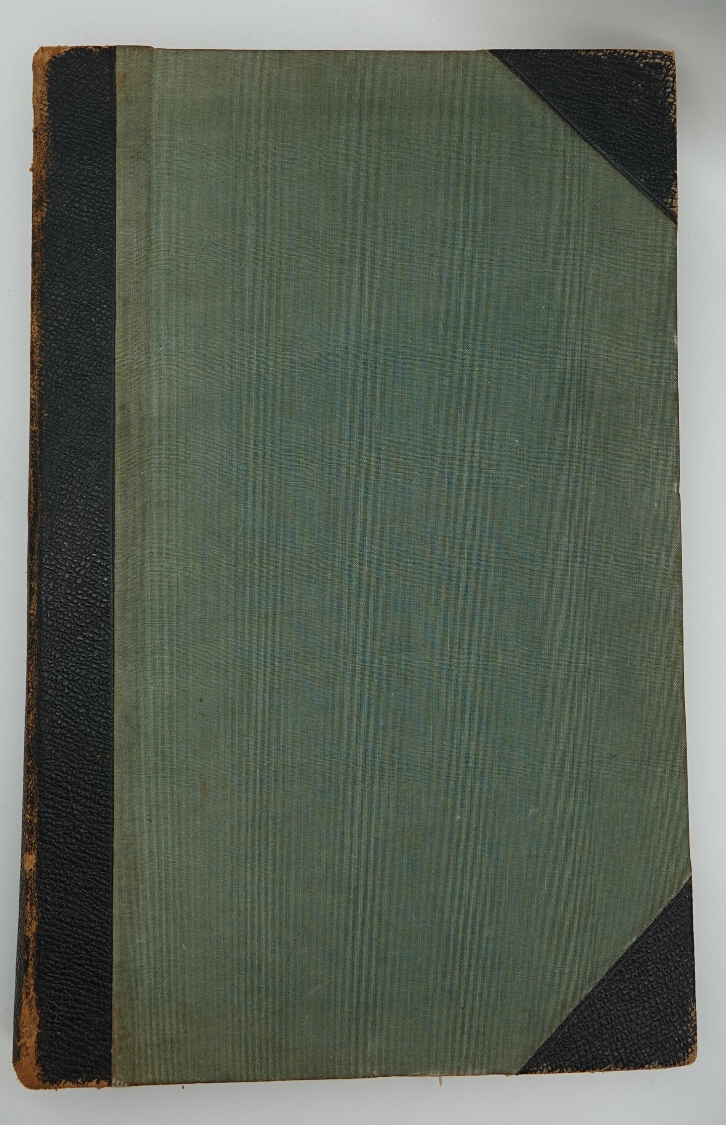Rare, large heavy classic: The Forest Flora of New Zealand by Kirk