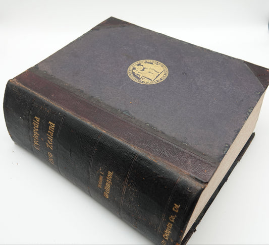 Cyclopedia of New Zealand, Volume 1 Wellington