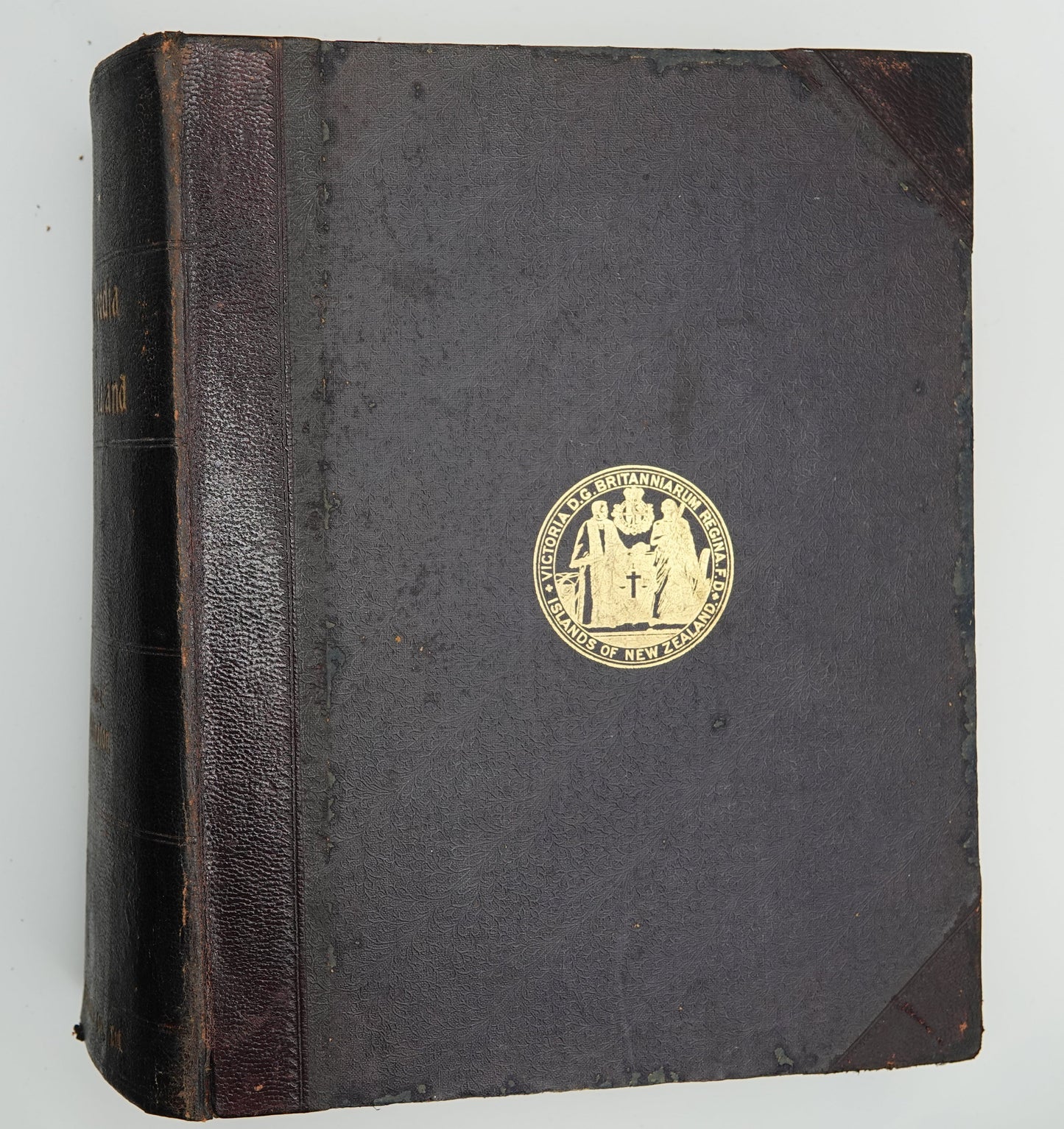 Cyclopedia of New Zealand, Volume 1 Wellington