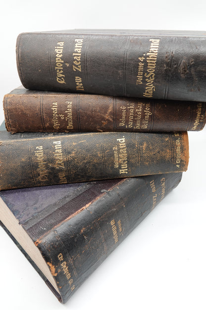 Cyclopedia of New Zealand, Volume 1 Wellington