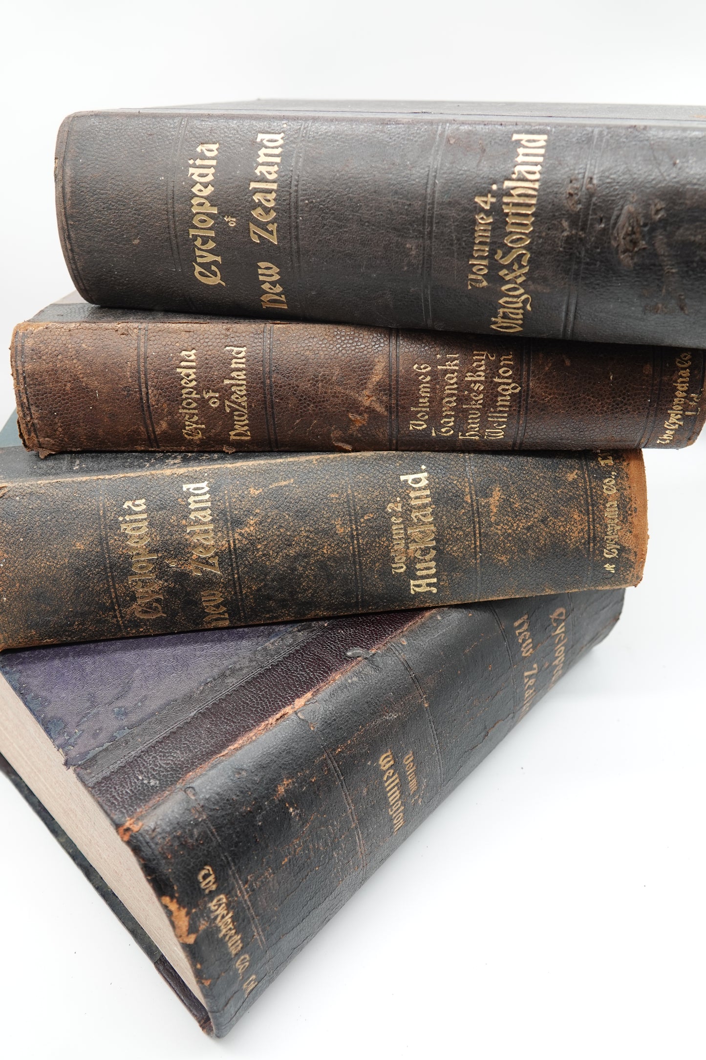 Cyclopedia of New Zealand, Volume 4 Otago & Southland